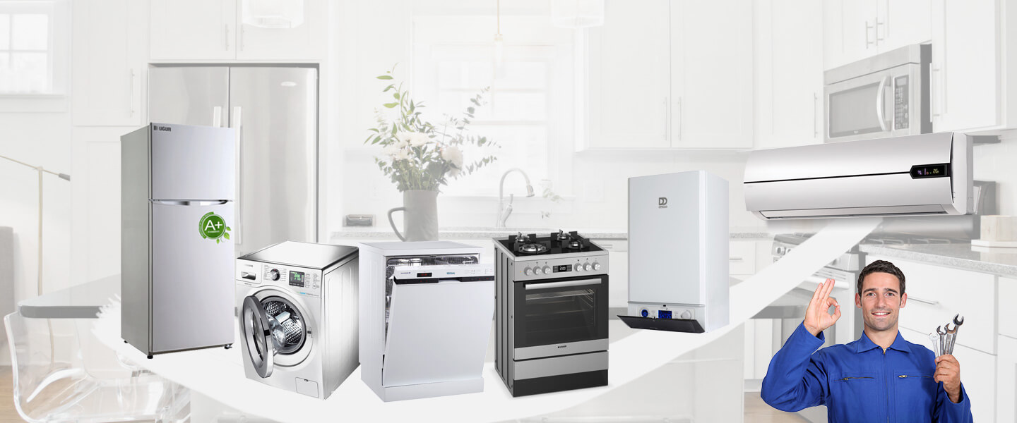 Kemalpaşa Grundig Servisi